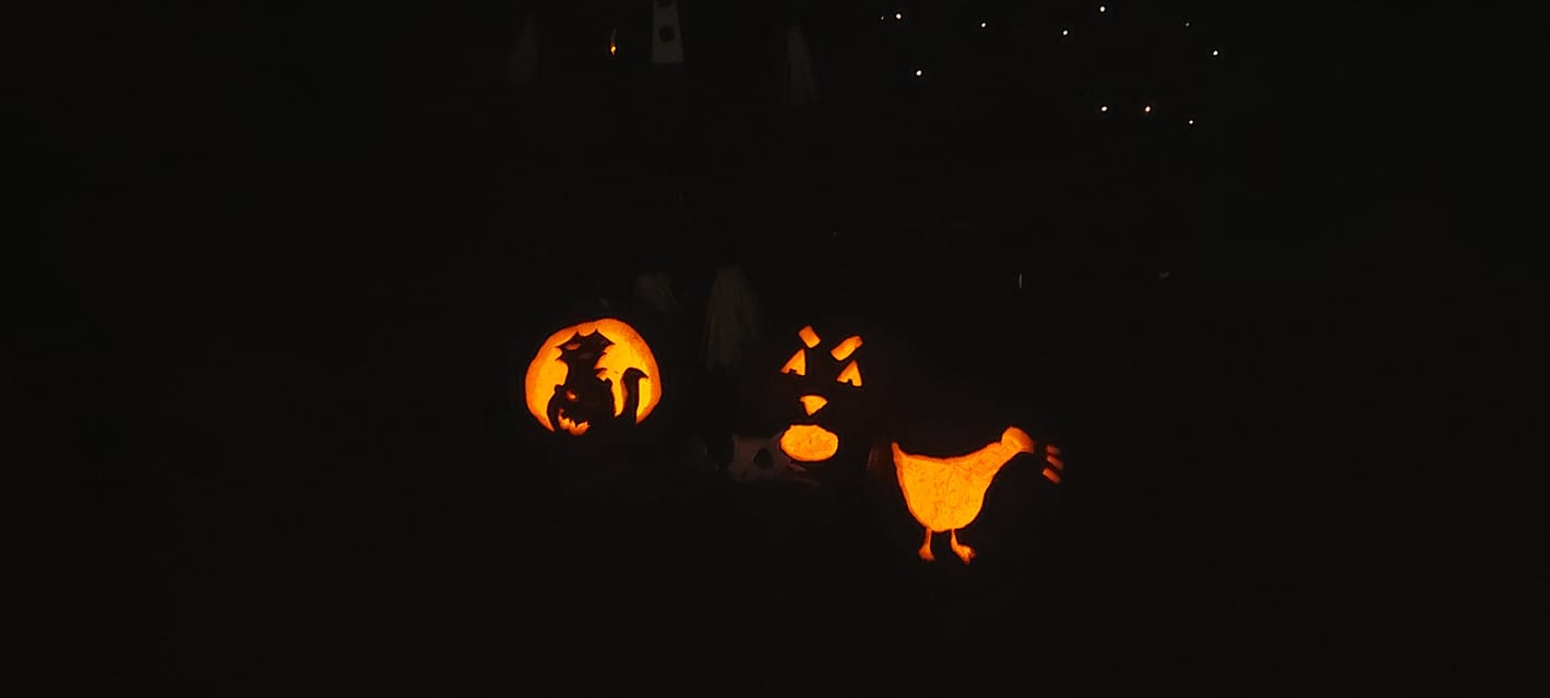 Three lit jack-o-lanturns sit in the dark